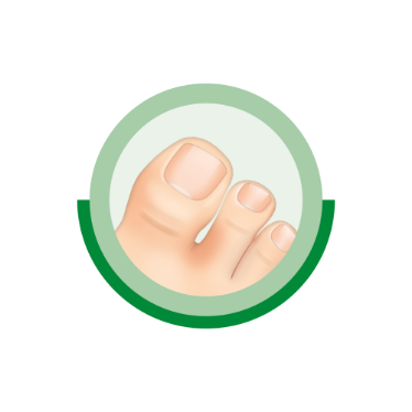 ciclopoli icon growth rate toes